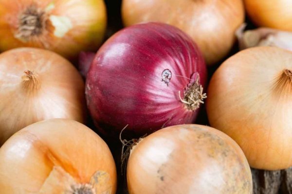 Onion сайт кракен