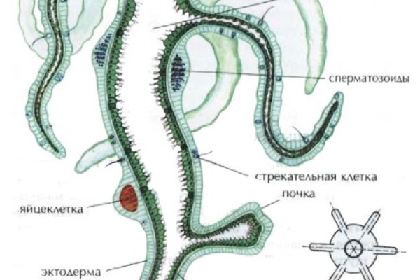 Что такое кракен площадка