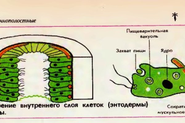 Кракен наркотики в оренбурге