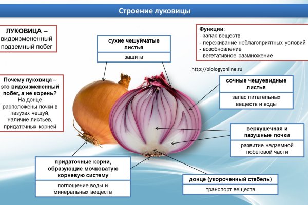 Кракен сайт что это